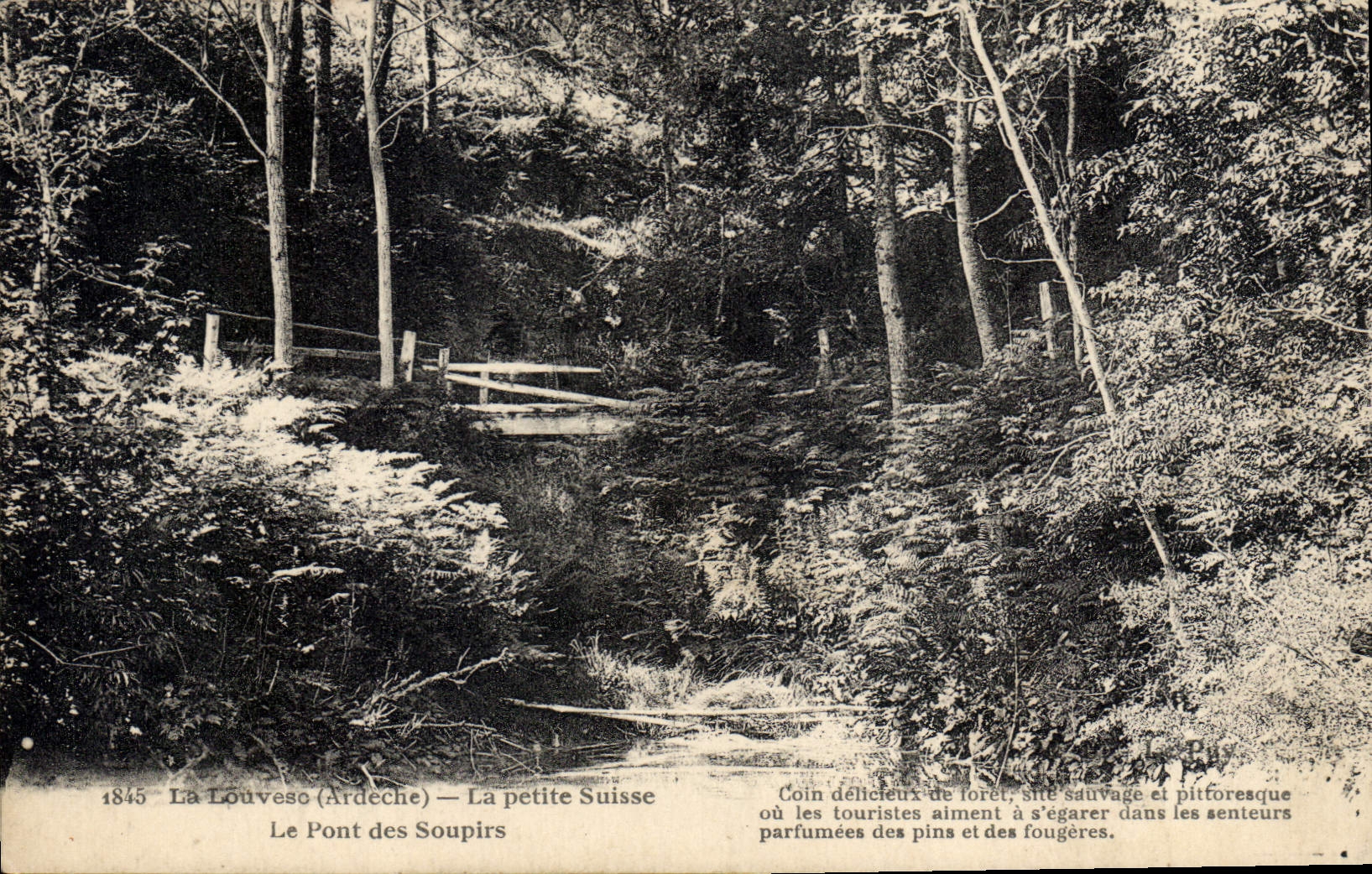 CPA La Louveso (Ardeche) La petite Suisse Le Pont des Soupirs