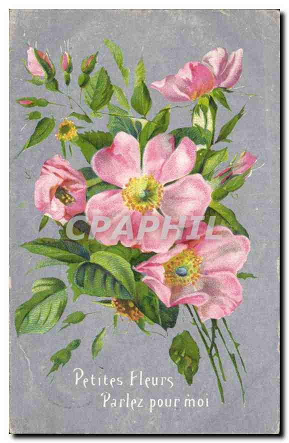 CPA Fantaisie Fleurs
