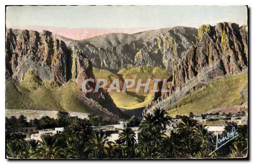 CPA Paysages du Sud Oasis dans les Gorges d'El Kantara