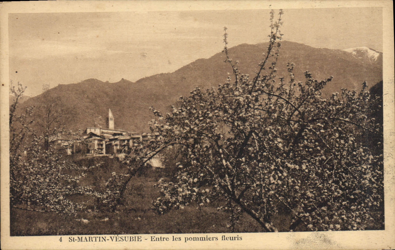 CPA St Martin Vesubie Entre les Pommiers fleuris