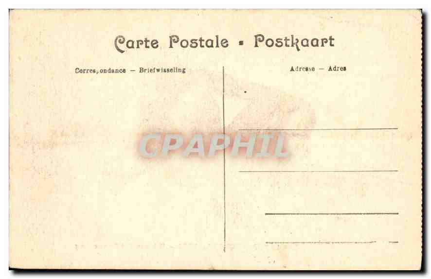 CPA Jardin Zoologique d'Anvers Chimpazee et Orang Outang Singe Singes — Rückseite