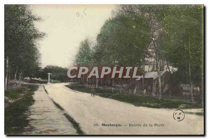CPA Montargis Entree de la Foret