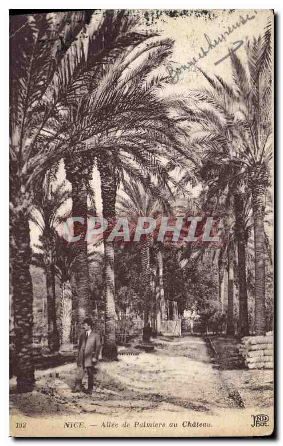 CPA Nice Allee de Palmiers au Chateau