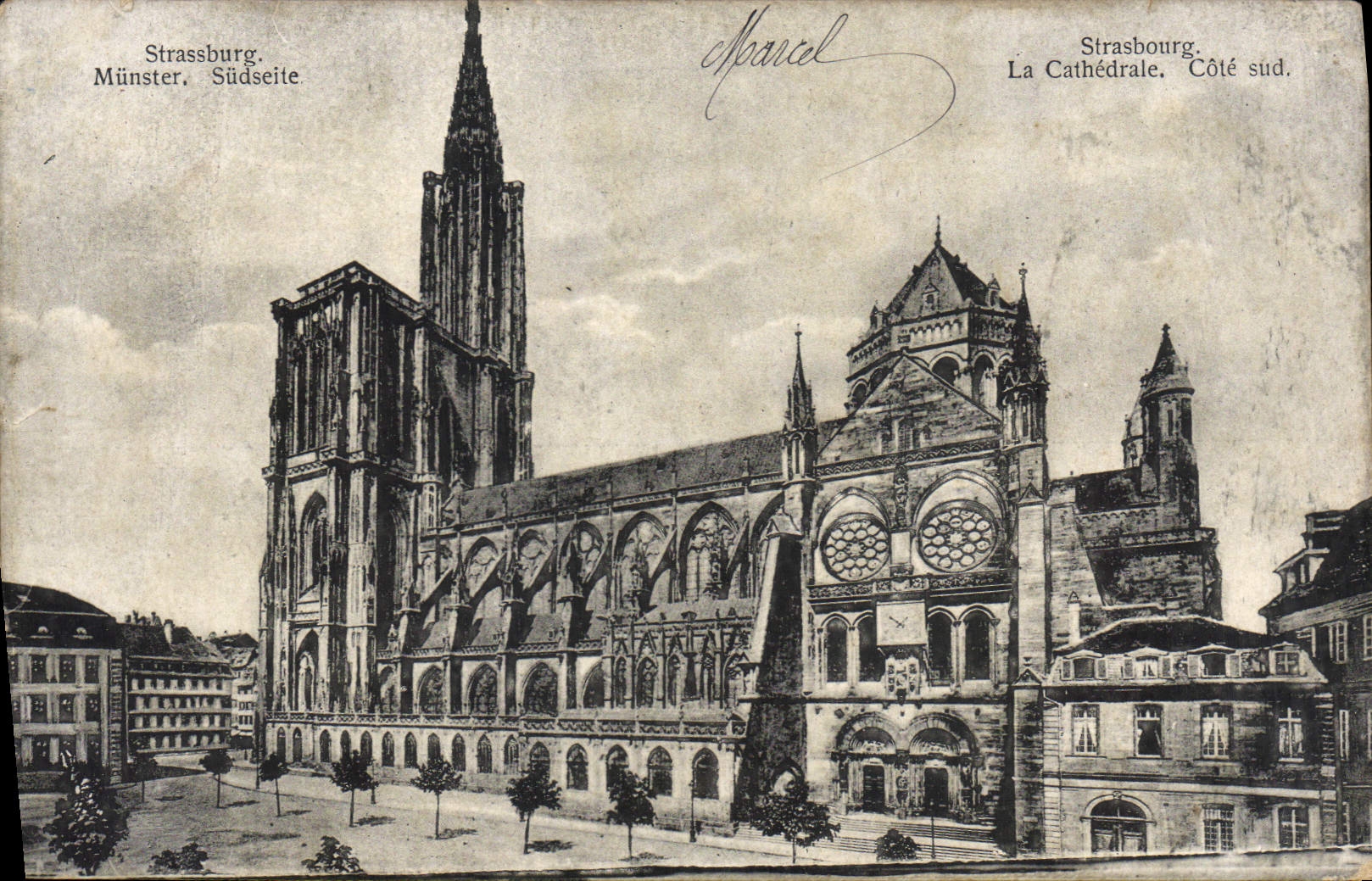 CPA Strasbourg La Cathedrale cote Sud