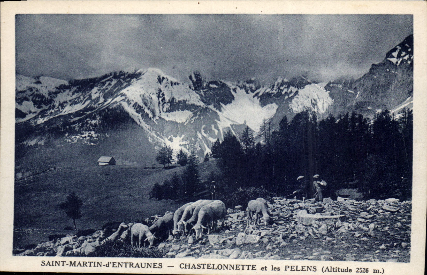 CPA Saint Martin d'Entraunes Chastelonnette et les Pelens (Altitude 2526 m)