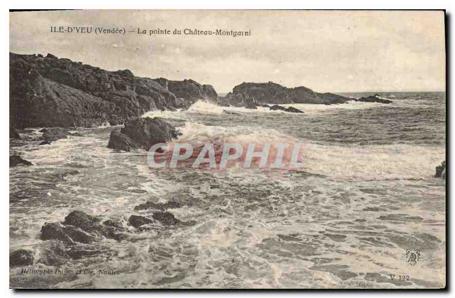 CPA Ile d'Yeu (Vendree) La pointe du Chateau Montgarni