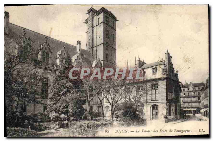 CPA Dijon Le Palais des Ducs de Bourgogne