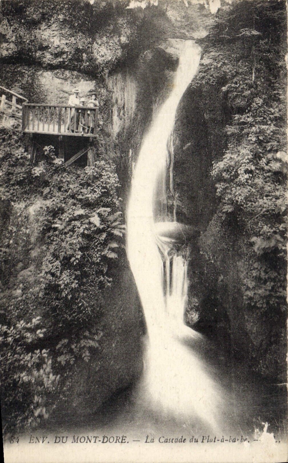 CPA Znv du Mont Dore La Cascade du Plat a barbe