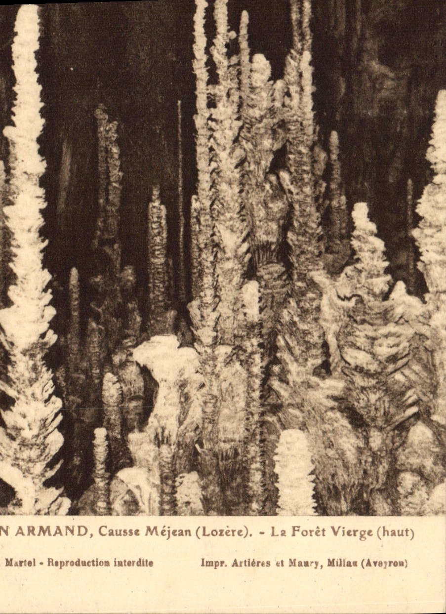 CPA Aven Armand Causse Mejean (Lozere) La Foret VIerge (Haut)