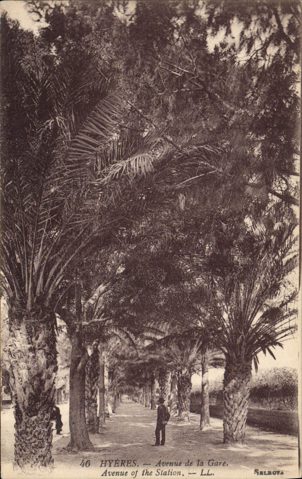 Hyères — Avenue de la Gare — Selbota