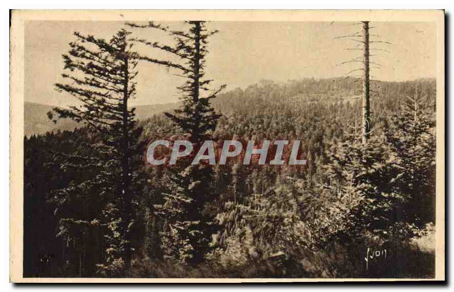 CPA Vallee de Munster Le Sanatorium Altenberg La douce France