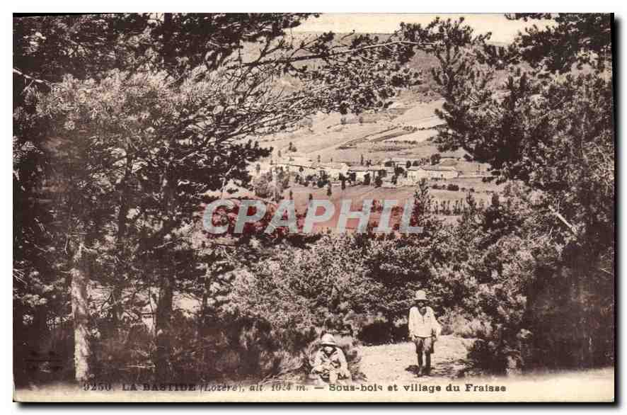 CPA La Bastide (Lozere) Sous bois et village du Fraisse