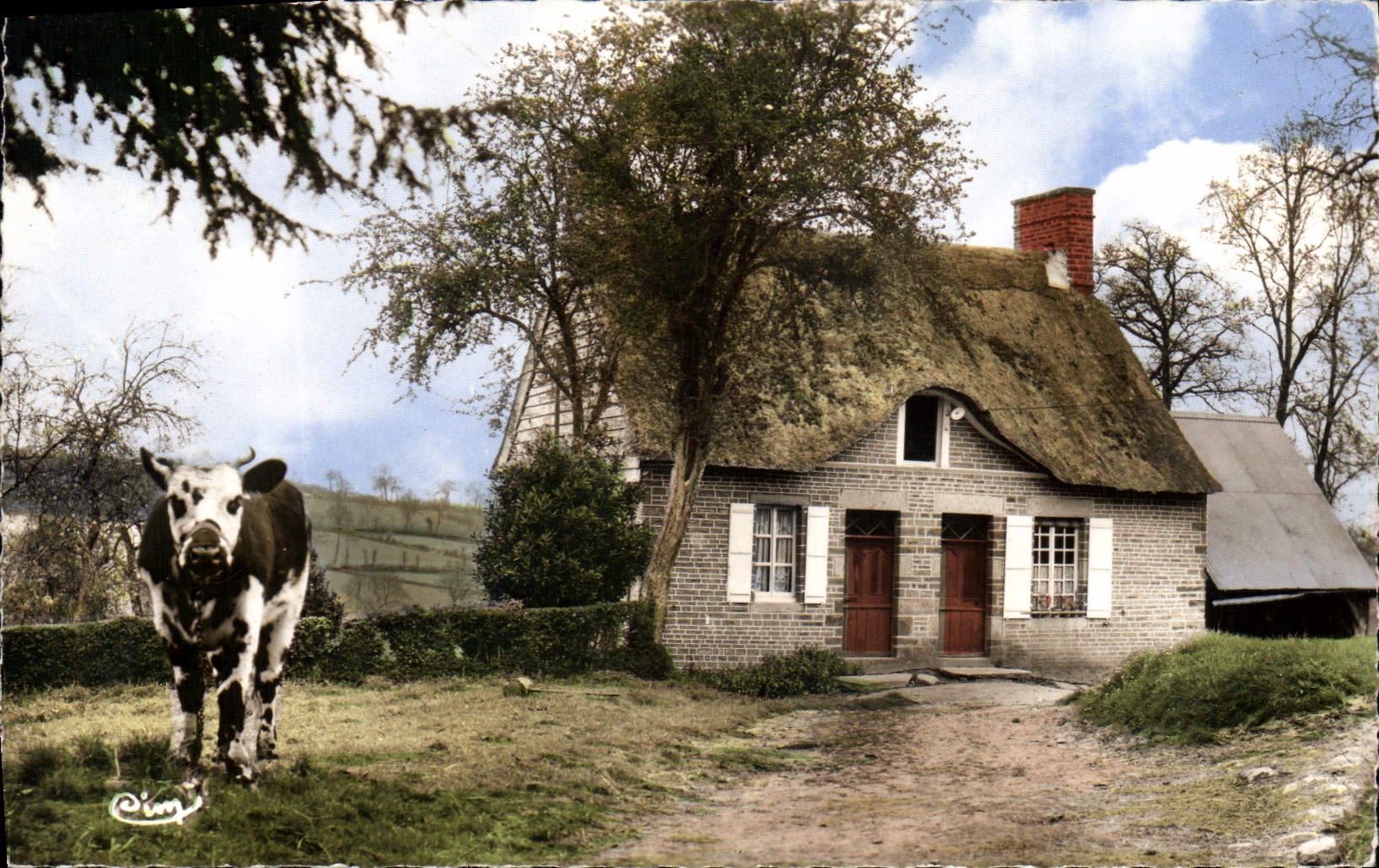 CPA Ma Normandie Chamiere Normande Vache