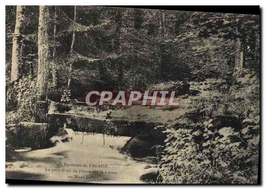 CPA Environs de Falaise Le petit Pont de Pierre sur le Laizon au Mont Joly
