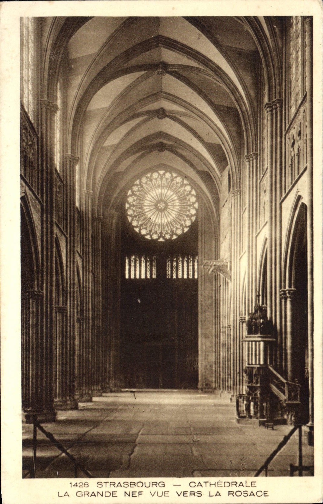 CPA Strasbourg Cathedrale La Grande Nef vue vers la Rosace 