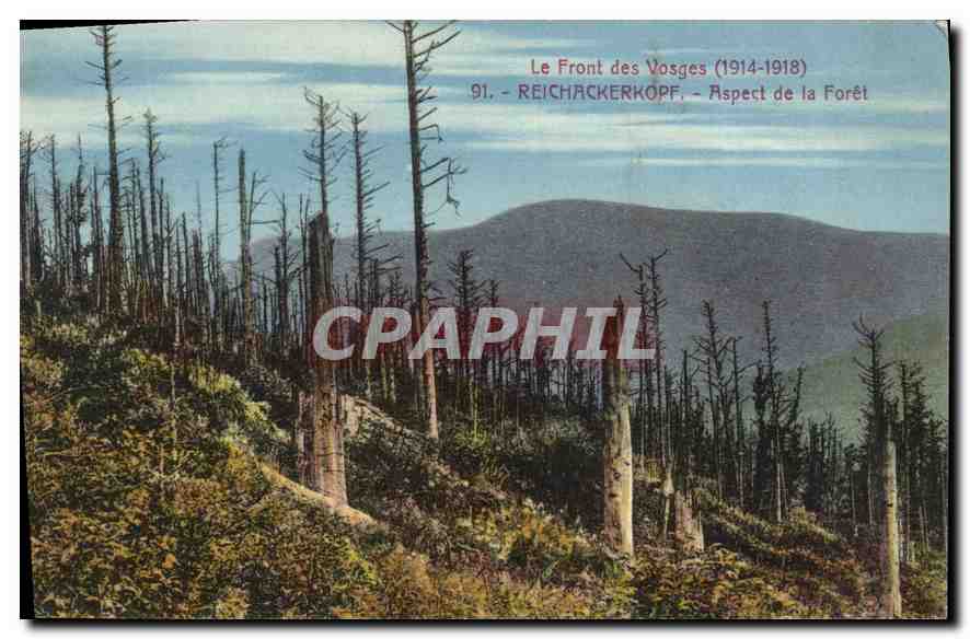 CPA Le front des Vosges 1914 1918 Reichackerkopf Aspect de la Foret 