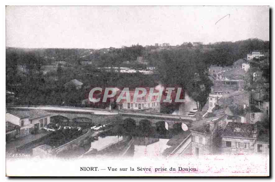 CPA Niort Vue sur la Sevre prise du Donjon 
