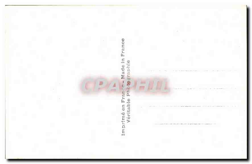 CPA Fantaisie Fleurs Bonjour Pensee — Rückseite