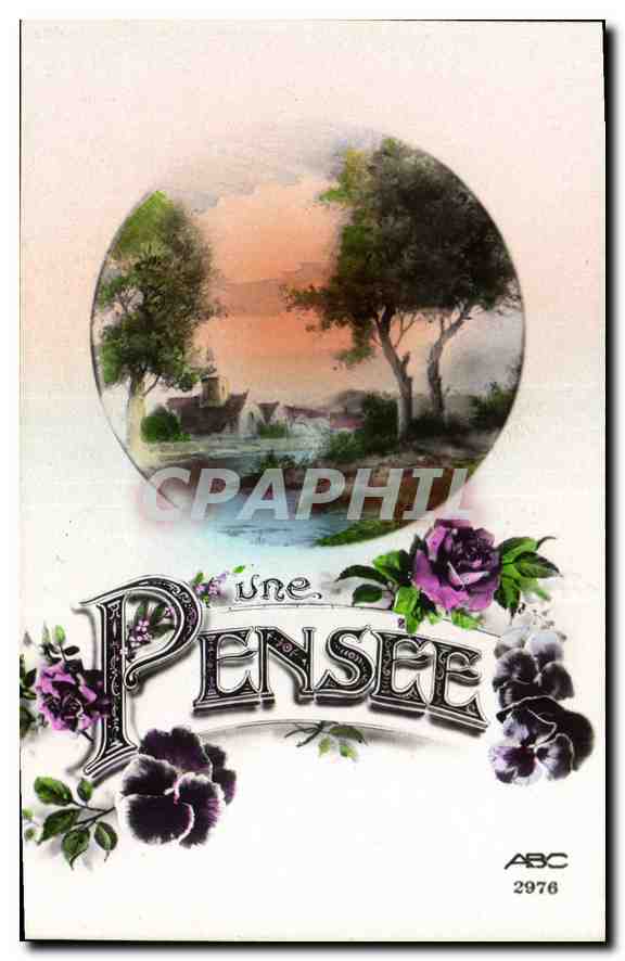CPA Fantaisie Fleurs Bonjour Pensee