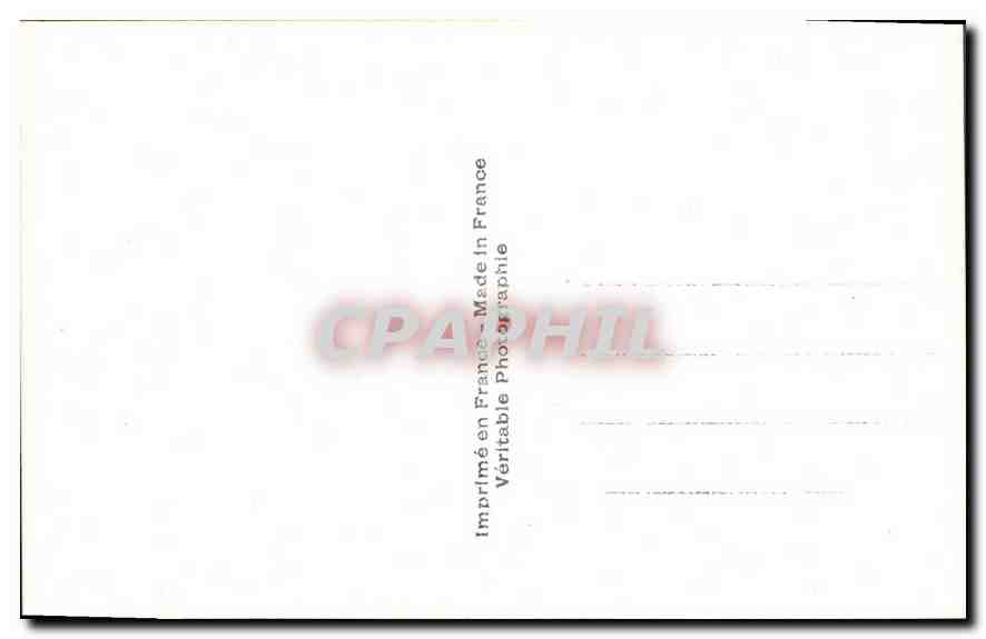 CPA Fantaisie Fleurs Bonjour Pensee — Rückseite