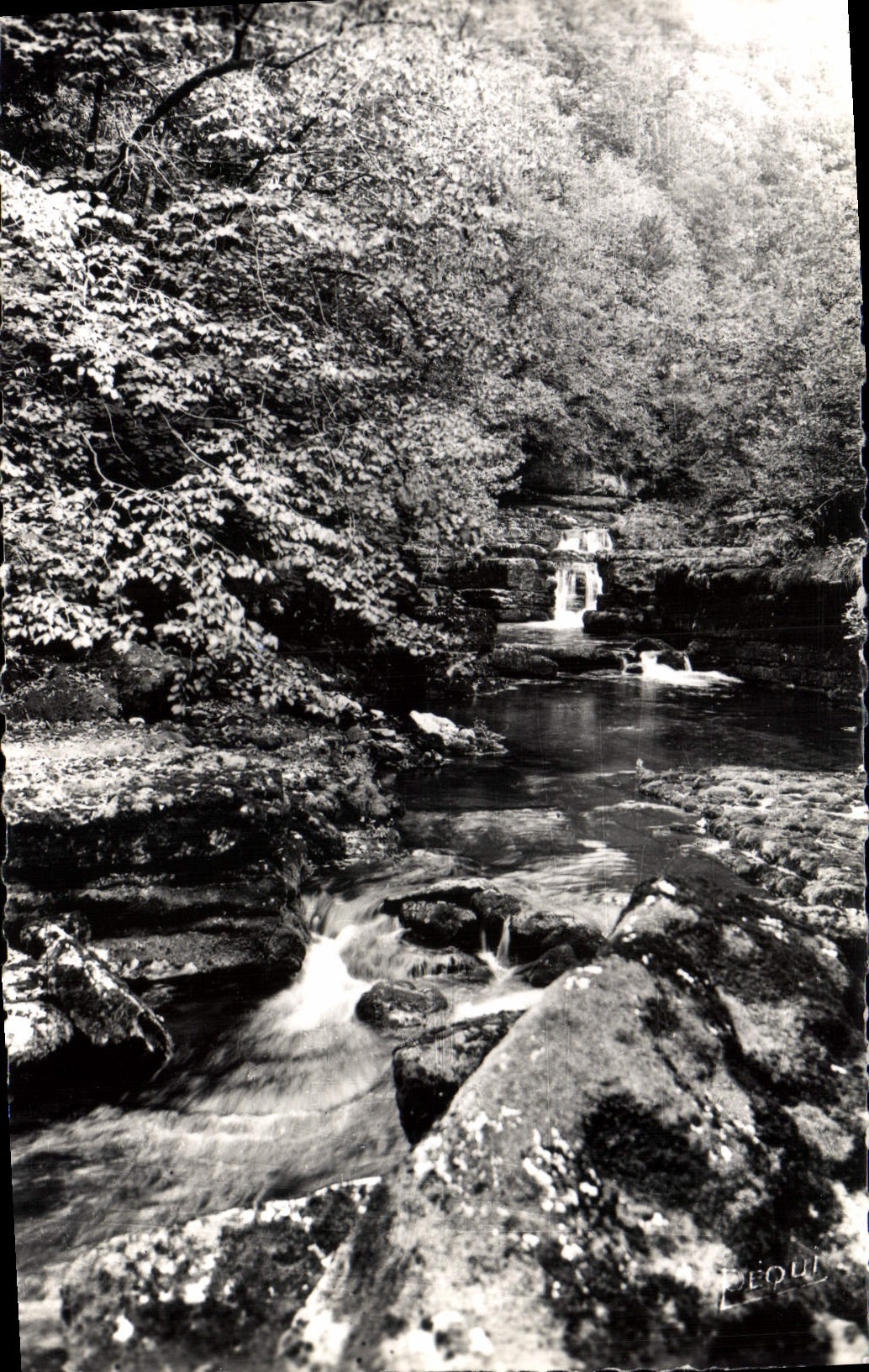 CPM Franche Compe Vallee de la Loue Gorges de Nouailles 