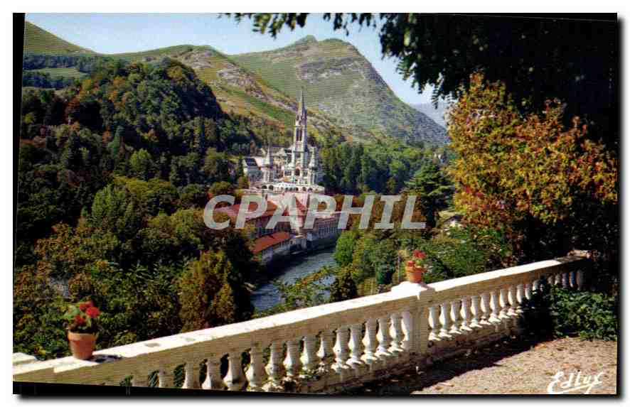 CPM Lourdes La Basilique et le Gave 