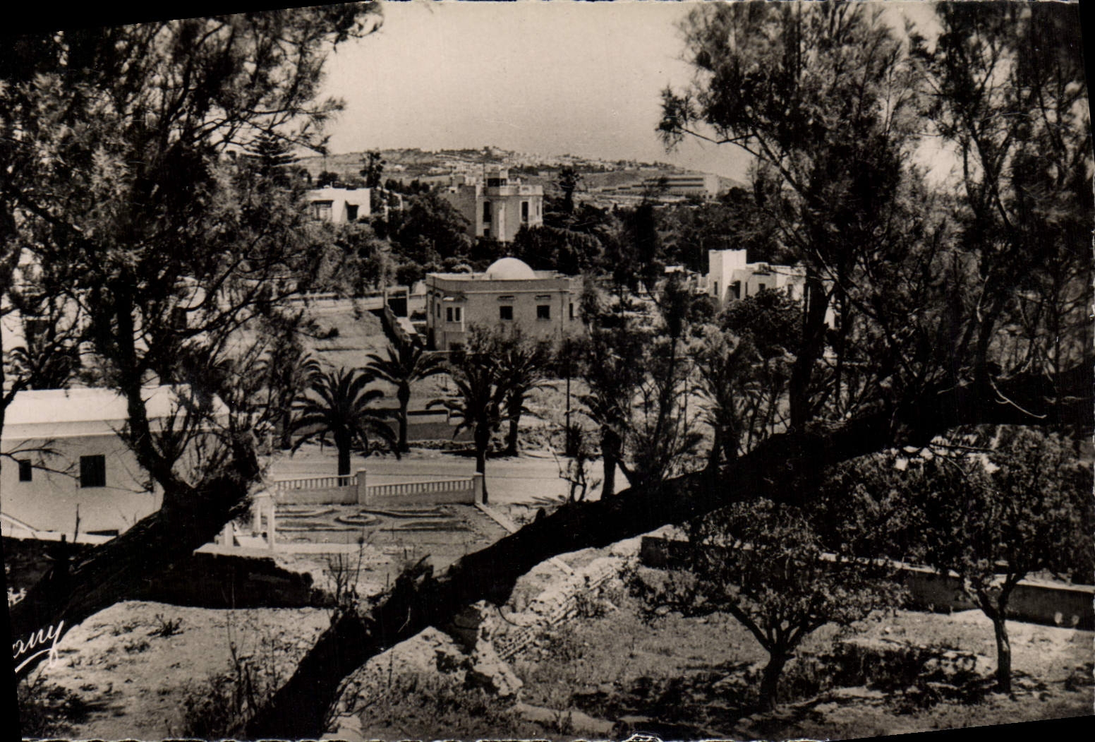 CPA Carthage Tunisie Vue generale 