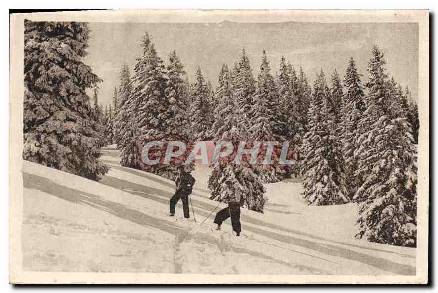 CPA Les Echarmeaux Rhone les Sports d'hiver  Ski