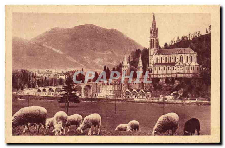 CPA Lourdes la Basilique 