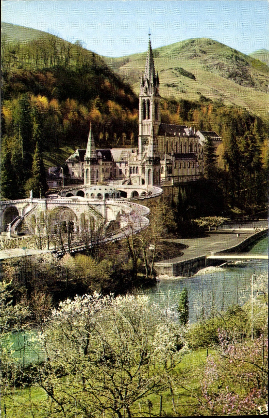 CPM Lourdes La Basilique et le Gave 