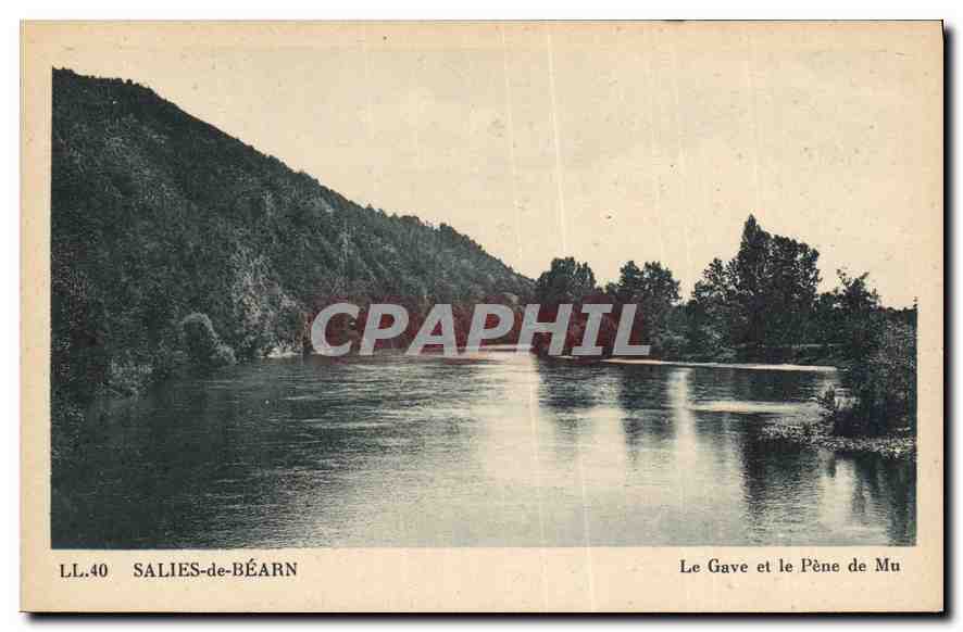 CPA Salies de Bearn Le Gave et le Pene de Mu 