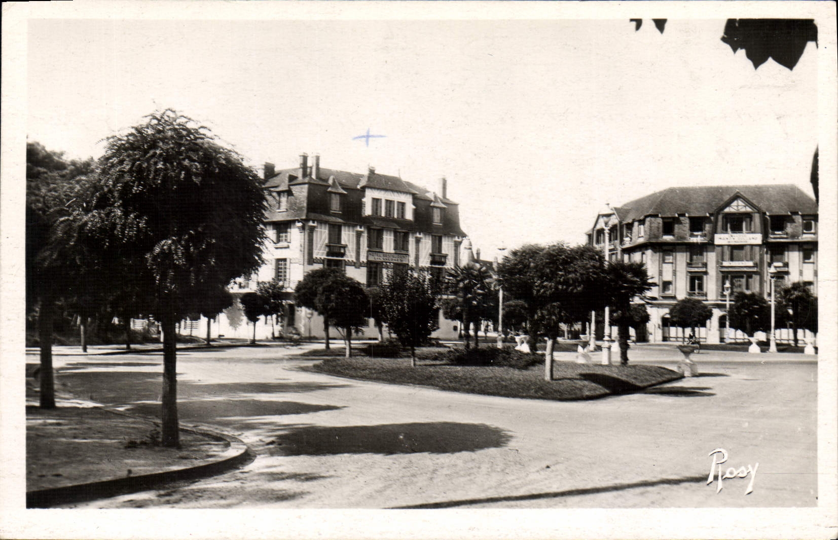 CPM La Baule Les Pins Place des Palmiers Les Sylphes 