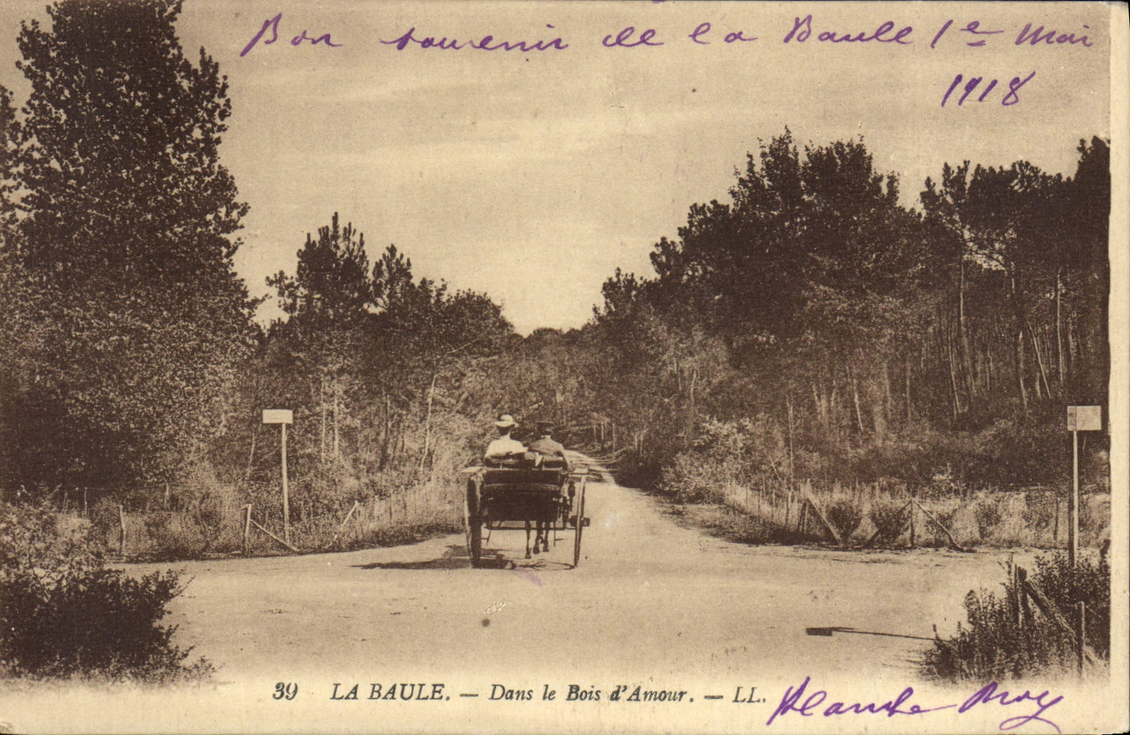CPA La Baule Dans le Bois d'Amour 