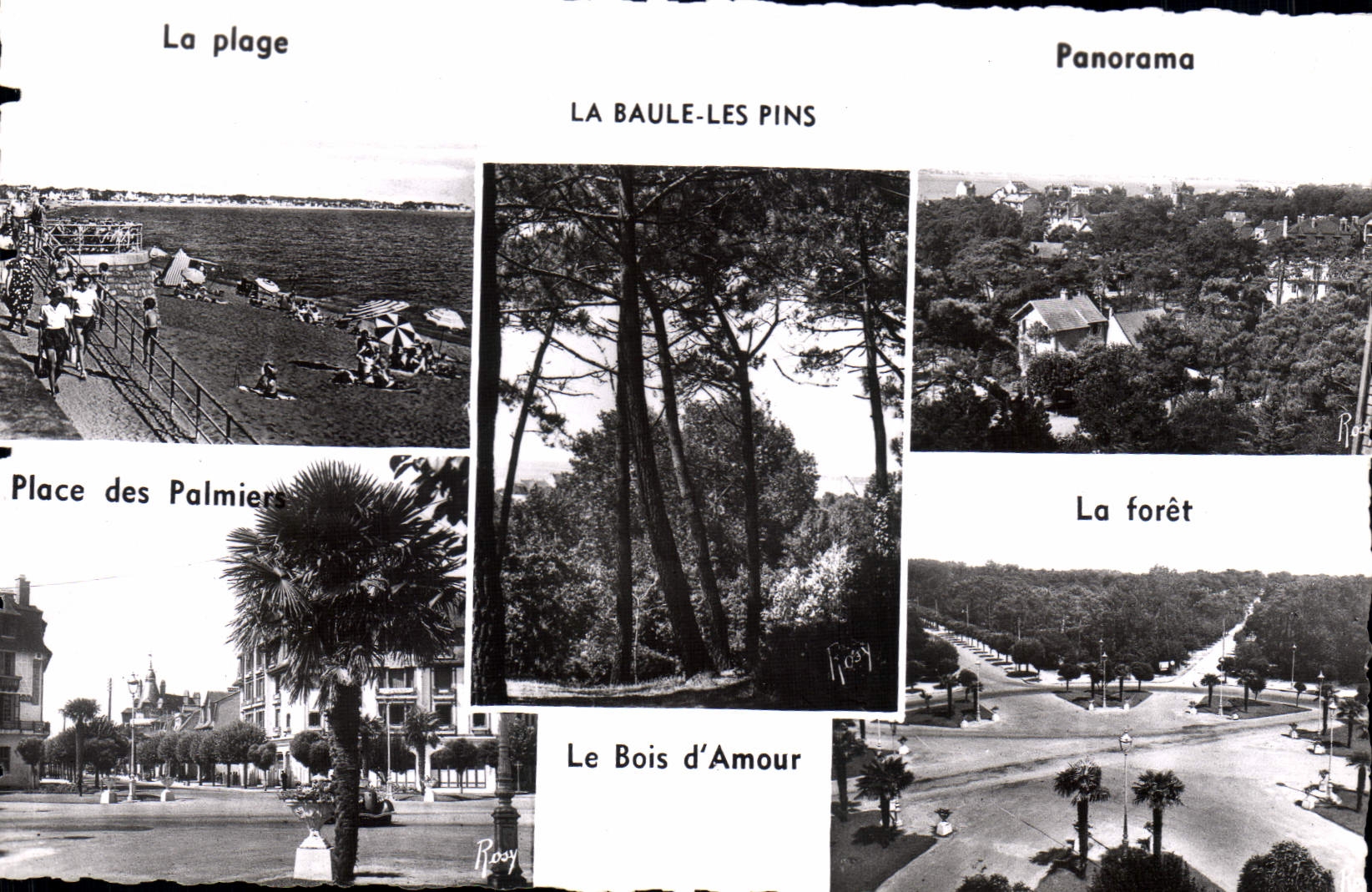 CPM La Baule Les Pins 