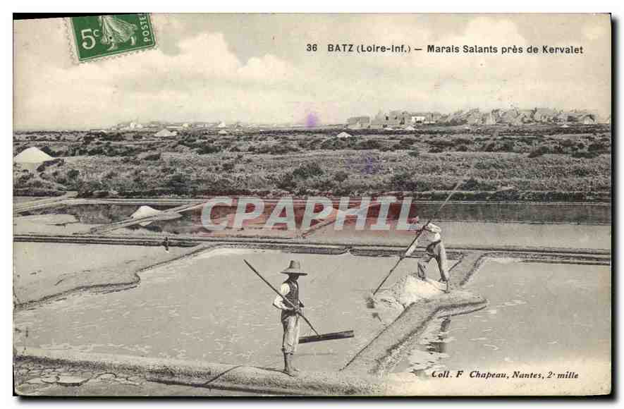 CPA Batz Loire Marais Salants pres de Kervalet 