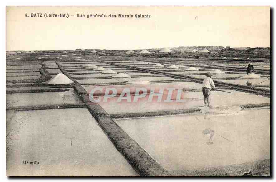 CPA Batz Vue generale des Marais Salants 