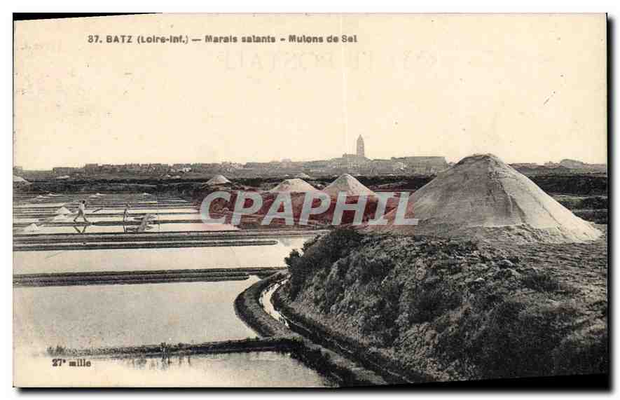 CPA Batz Les Marais salants Mulons de Sel 