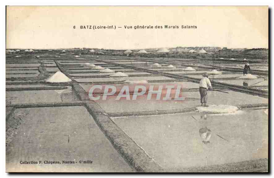 CPA Batz Vue generale des Marais salants 