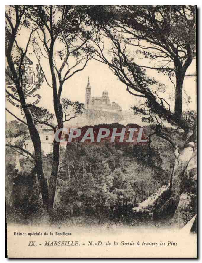 CPA Marseille Notre Dame de la Garde a travers les Pins 