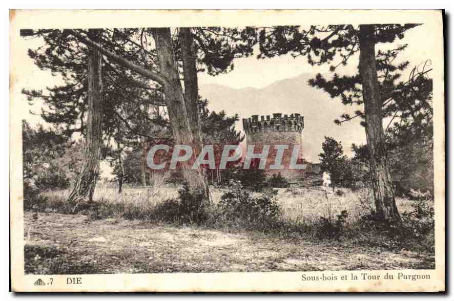 CPA Die Sous bois et la Tour du Purguon 