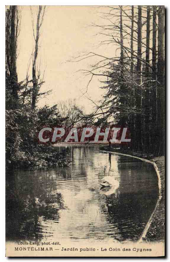 Montélimar — Jardin public - Le Coin des Cygnes — Louis Lang, phot.-édit.