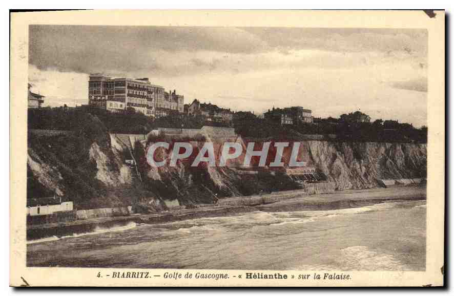 CPA Biarritz Golfe de Gascogne Helianthe sur la Falaise