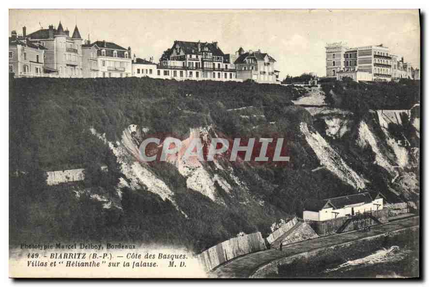 CPA Biarritz Cote des Basques Villas et Helianthe sur la falaise