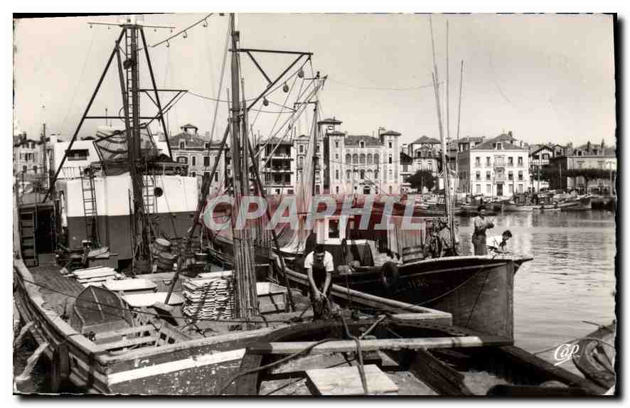 Port de pêche à Saint-Jean-de-Luz — vue de bateaux et pêcheurs — Réal-Photo