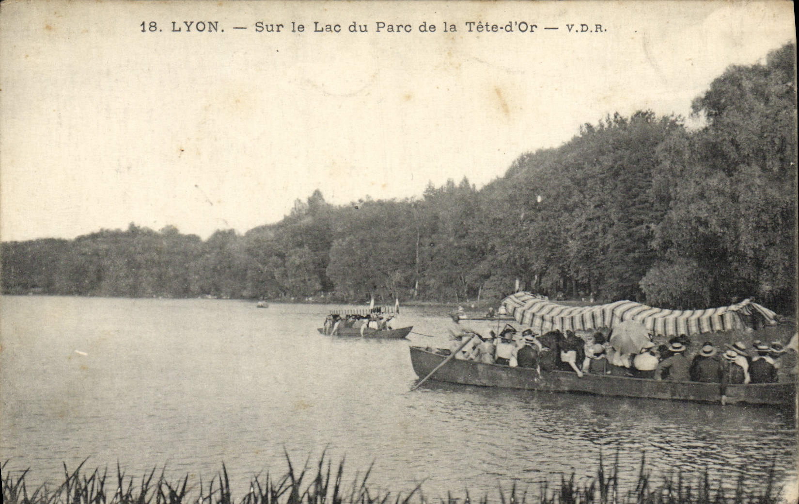 LYON — Sur le Lac du Parc de la Tête-d'Or — V.D.R.