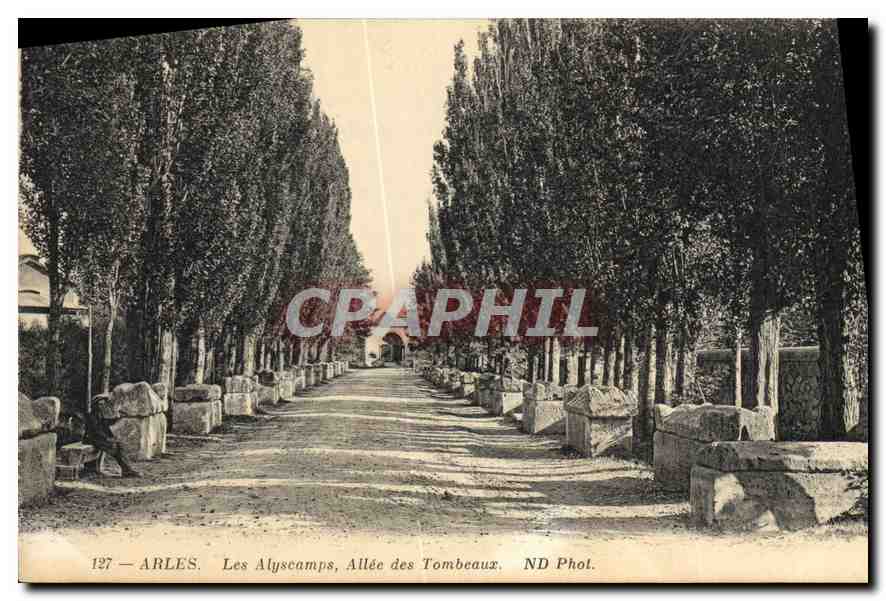 CPA Arles Les Alyscamps Allee des Tombeaux