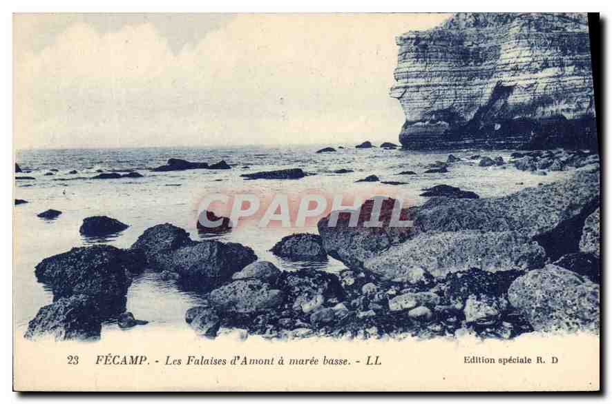CPA Fecamp Les Falaises d'Amont a maree basse 