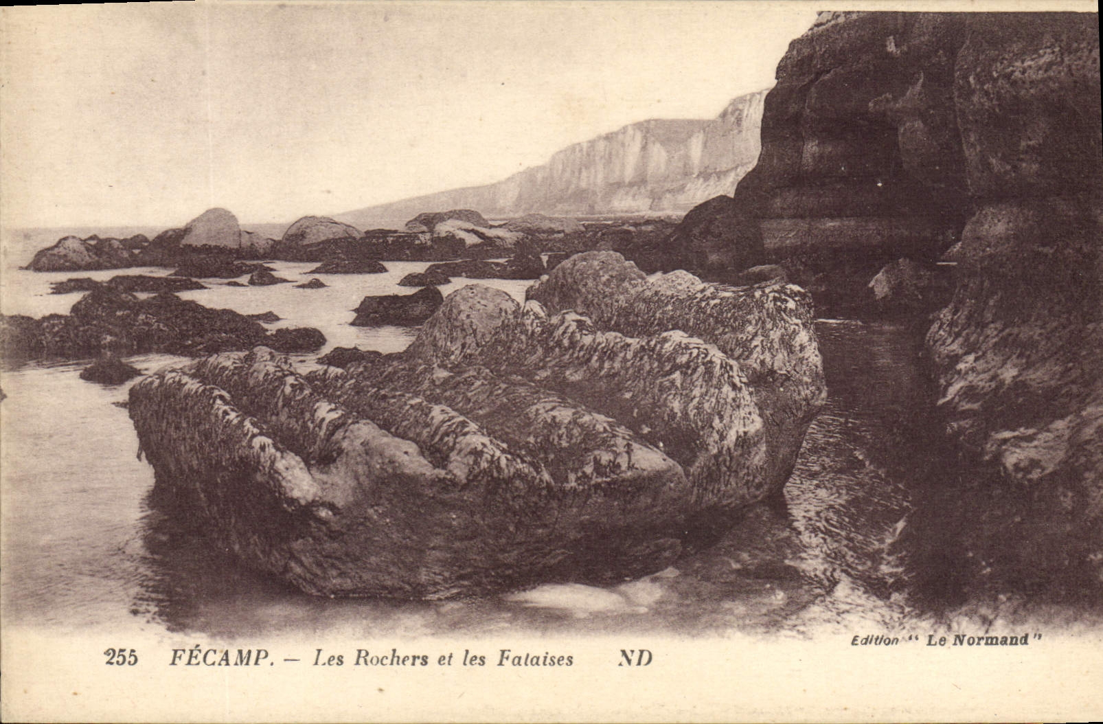 CPA Fecamp Les Rochers et les Falaises 