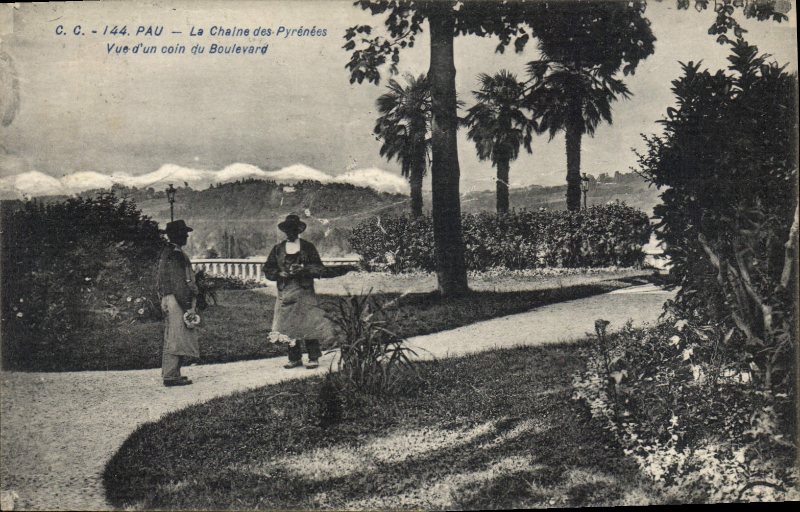Pau — La Chaîne des Pyrénées — Vue d'un coin du Boulevard — C.C. 144