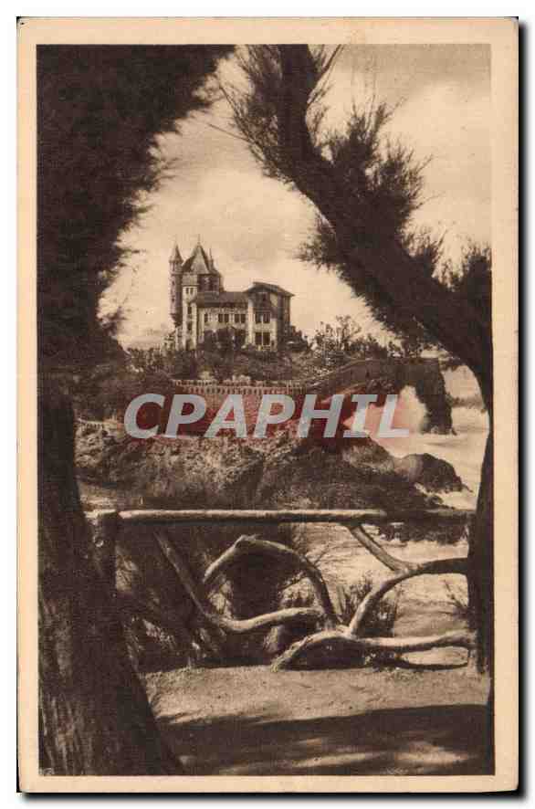 CPA Biarritz Villa Belza a travers les Tamaris 